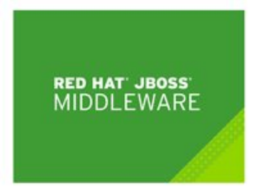 Bild på Red Hat JBoss Data Virtualization, 4-Core Premium 3Yr