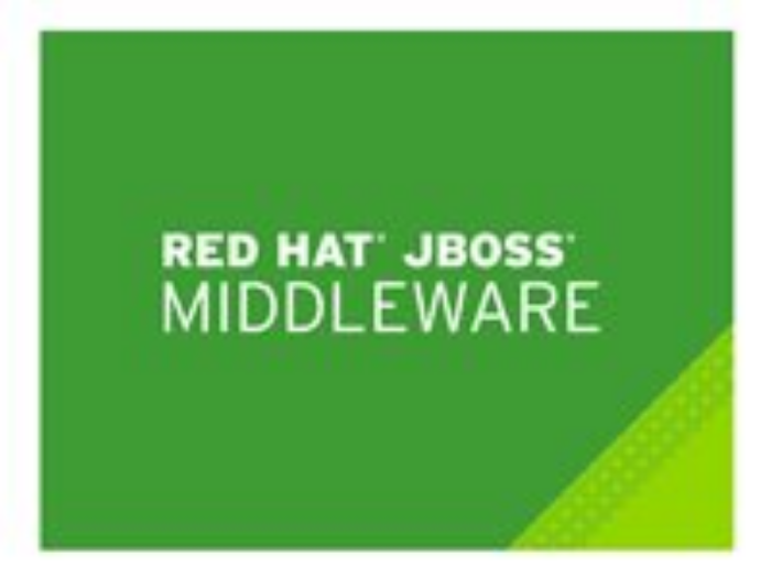Bild på Red Hat JBoss Data Virtualization, 4-Core Standard 3Yr