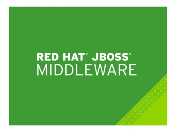 Bild på JBoss Enterprise Application Platform with Management