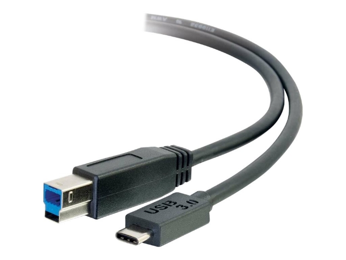 Bild på C2G 1m USB 3.1 Gen 1 USB Type C to USB B Cable M/M