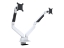 Bild på Multibrackets M VESA Gas Lift Arm Dual Side by Side