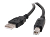 Bild på C2G 9.8ft USB A to USB B Cable