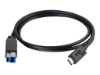 Bild på C2G 2m USB 3.1 Gen 1 USB Type C to USB B Cable M/M