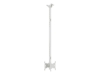 Bild på Multibrackets M Public Ceilingmount Small Back to Back
