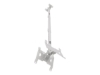 Bild på Multibrackets M Public Ceilingmount Small Back to Back