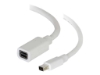 Bild på C2G 1m Mini DisplayPort Extension Cable M/F