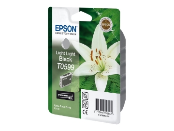 Bild på Epson T0599