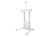 Bild på Multibrackets M Motorized Floorstand
