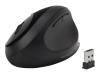 Bild på Kensington Pro Fit Ergo Wireless Mouse