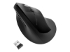 Bild på Kensington Pro Fit Ergo Wireless Mouse