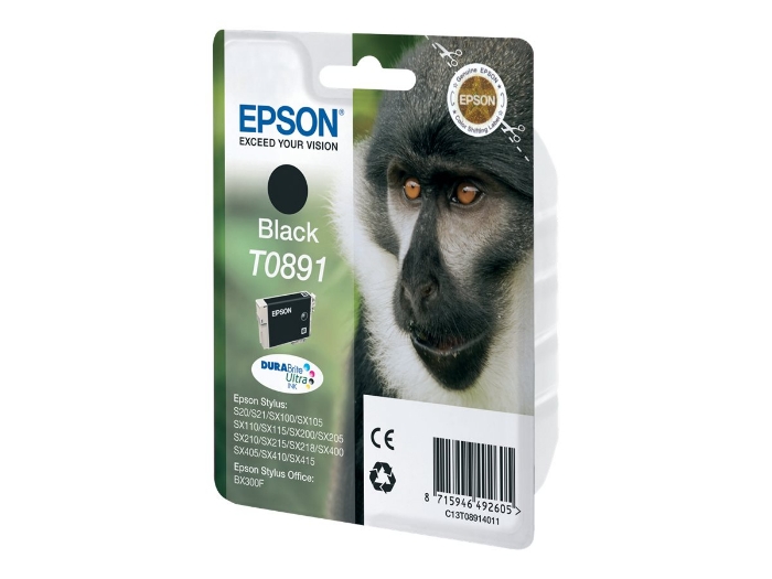 Bild på Epson T0891