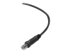 Bild på Belkin Premium Printer Cable