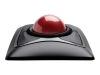 Bild på Kensington Expert Mouse Wireless Trackball
