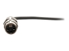 Bild på C2G 6ft 3.5mm TRS 3 Position Balanced to XLR Cable