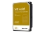 Bild på WD Gold WD221KRYZ