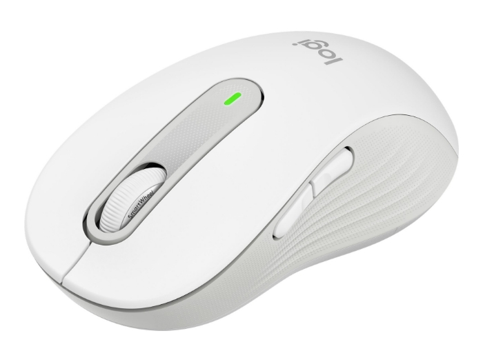 Bild på Logitech Signature M650 L for Business