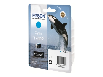 Bild på Epson T7602