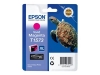 Bild på Epson T1573