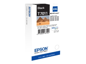 Bild på Epson T7011