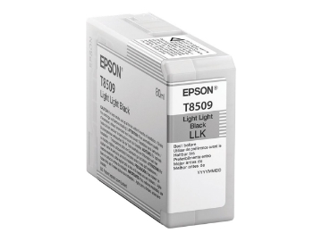 Bild på Epson T8509