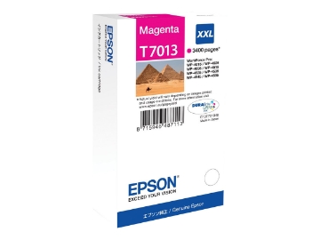 Bild på Epson T7013