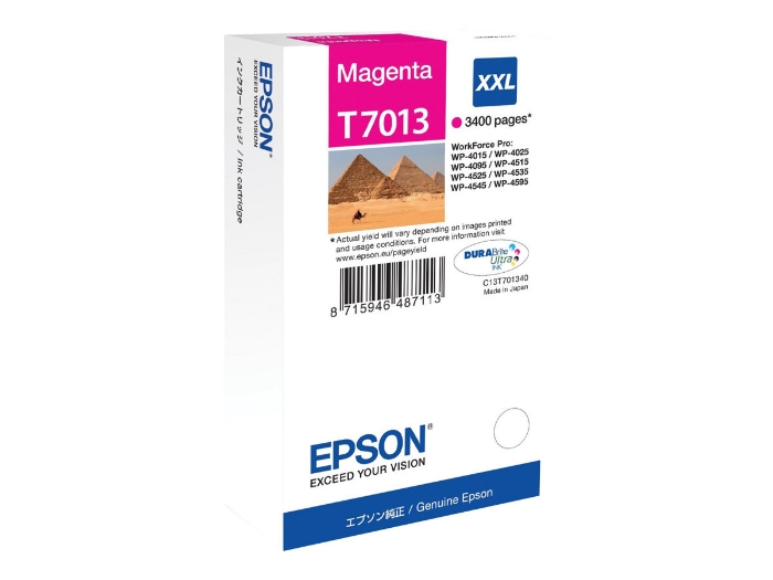 Bild på Epson T7013