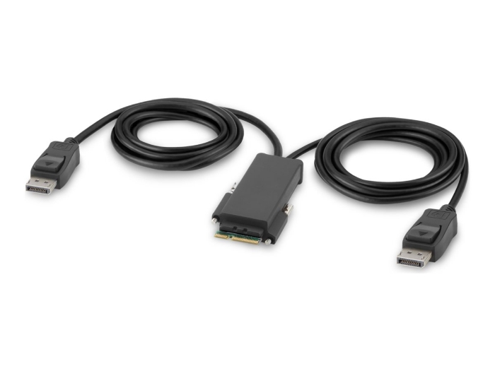 Bild på Belkin Secure Modular DP Dual Head Console Cable