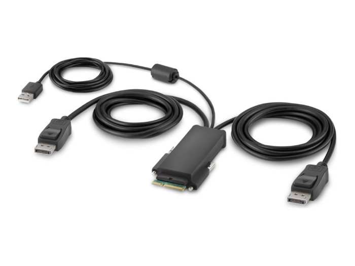 Bild på Belkin Secure Modular DP Dual Head Host Cable
