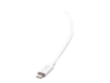 Bild på C2G 6ft (1.8m) USB-C Male to Lightning Male Sync and Charging Cable