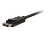 Bild på C2G 10ft DisplayPort to HDMI Cable