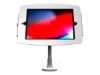 Bild på Compulocks iPad Pro 11" (1-4th Gen) Space Enclosure Flex Arm Mount