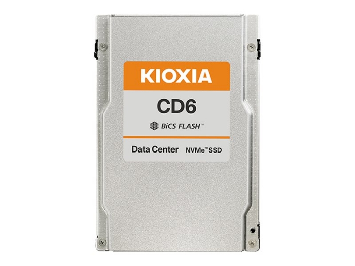Bild på KIOXIA CD6-R Series KCD61LUL960G