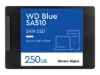 Bild på WD Blue SA510