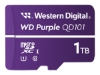 Bild på WD Purple WDD100T1P0C