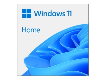 Bild på Windows 11 Home
