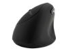 Bild på Kensington Pro Fit Ergo Wireless Mouse