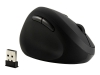 Bild på Kensington Pro Fit Ergo Wireless Mouse