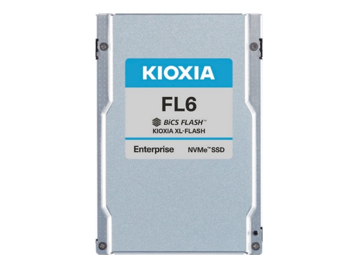 Bild på KIOXIA FL6 Series KFL6XHUL800G