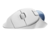 Bild på Logitech Ergo Series ERGO M575