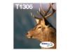Bild på Epson T1306 Multipack Easy Mail Packaging