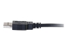 Bild på C2G 3.3ft USB Cable