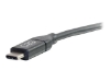 Bild på C2G 10ft USB C to VGA Cable