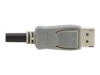 Bild på Eaton Tripp Lite Series DisplayPort Extension Cable with Active Repeater and Latching Connector (M/F), 4K 60 Hz, HDR, 4:4:4, HDCP 2.2, 20 ft. (6.1 m), TAA
