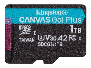 Bild på Kingston Canvas Go! Plus