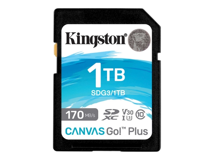 Bild på Kingston Canvas Go! Plus