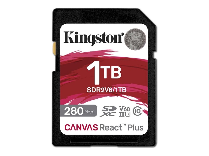 Bild på Kingston Canvas React Plus