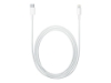 Bild på Apple USB-C to Lightning Cable
