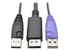 Bild på Eaton Tripp Lite Series DisplayPort USB Server Interface w/Virtual Media & CAC B064 KVMs TAA