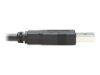 Bild på Eaton Tripp Lite Series USB to RJ45 Rollover Console Cable (M/M)
