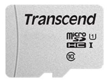 Bild på Transcend 300S